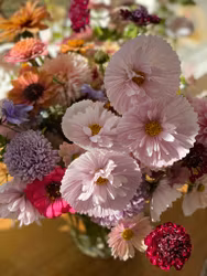 Rosenskära Cupcake Blush