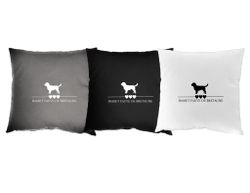 Basset fauve de bretagne - Kuddfodral hundras
