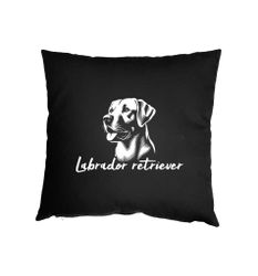 Kuddfodral - Labrador retriever