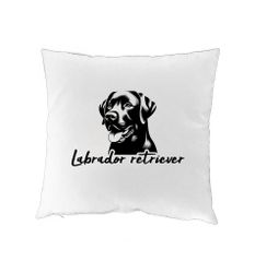 Kuddfodral - Labrador retriever