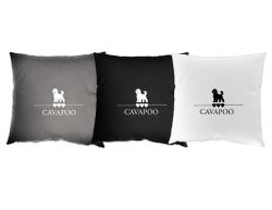 Cavapoo- Kuddfodral hundras