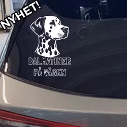Dalmatiner på vägen - bildekal