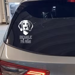 Beagle på väg - bildekal