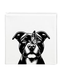 Tavla Staffordshire bullterrier