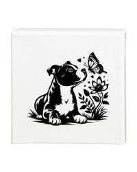 Tavla Staffordshire bullterrier