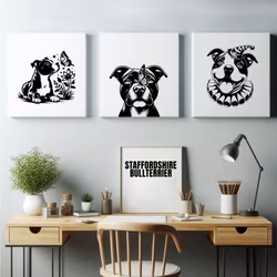 Tavla Staffordshire bullterrier