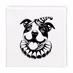 Tavla Staffordshire bullterrier
