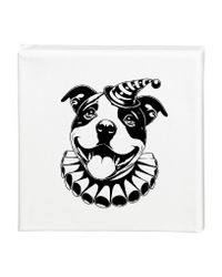 Tavla Staffordshire bullterrier