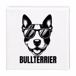 Tavla Bullterrier