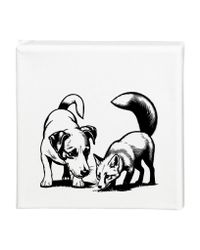 Tavla Jack Russell terrier