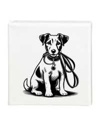 Tavla Jack Russell terrier
