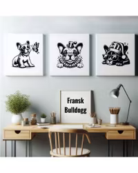 Tavla Fransk Bulldogg