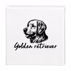 Tavla Golden retriever