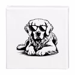 Tavla Golden retriever