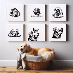 Tavla Golden retriever