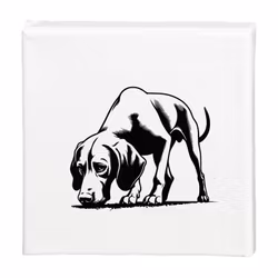 Tavla Ungersk vizsla