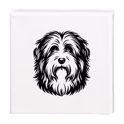Tavla Bearded collie
