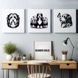Tavla Bearded collie