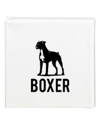 Tavla Boxer