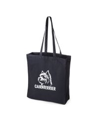 Cairnterrier - kasse