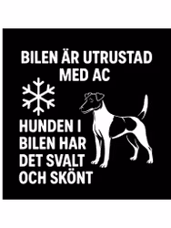 Bildekal - AC-utrustad bil - Foxterrier