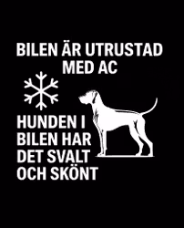 Bildekal - AC-utrustad bil - Ungersk Vizsla