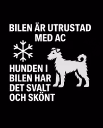 Bildekal - AC-utrustad bil - Pumi