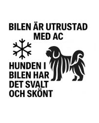 Bildekal - AC-utrustad bil - Puli