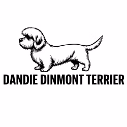 Bildekal Dandie dinmont terrier