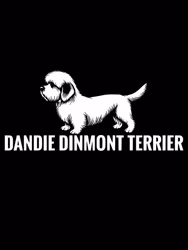 Bildekal Dandie dinmont terrier