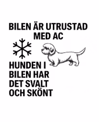 Bildekal - AC-utrustad bil - Dandie dinmont terrier
