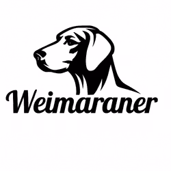 Bildekal - Weimaraner