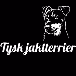 Bildekal - Tysk jaktterrier