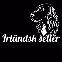 Bildekal - Irländsk setter