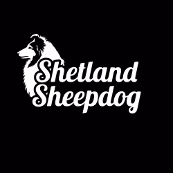 Bildekal Logo - Shetland Sheepdog
