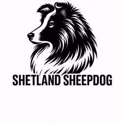 Bildekal Vector huvud - Shetland Sheepdog