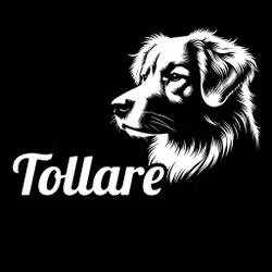 Bildekal - Tollare