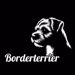 Bildekal - Borderterrier