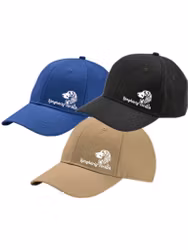 Tillfälligt parti - Vorsteh - Keps