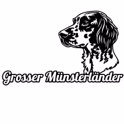 Bildekal - Grosser Münsterländer