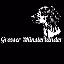 Bildekal - Grosser Münsterländer