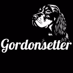 Bildekal - Gordonsetter