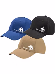 Tillfälligt parti - Keps - Svensk vit älghund