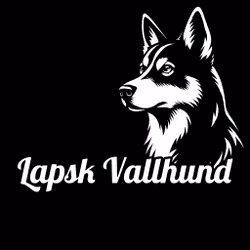 Bildekal - Lapsk vallhund
