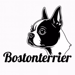 Bildekal - Bostonterrier
