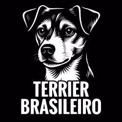 Bildekal - Terrier Brasileiro