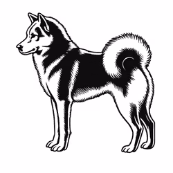 Bildekal - Finsk spets - siluett