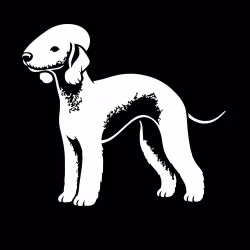 Bildekal - Bedlingtonterrier