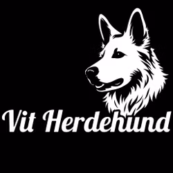 Bildekal - Vit herdehund