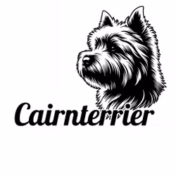 Bildekal - Cairnterrier
